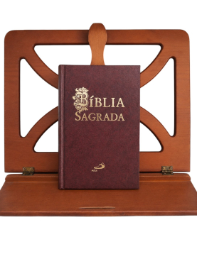 Bíblia Sagrada Bordô